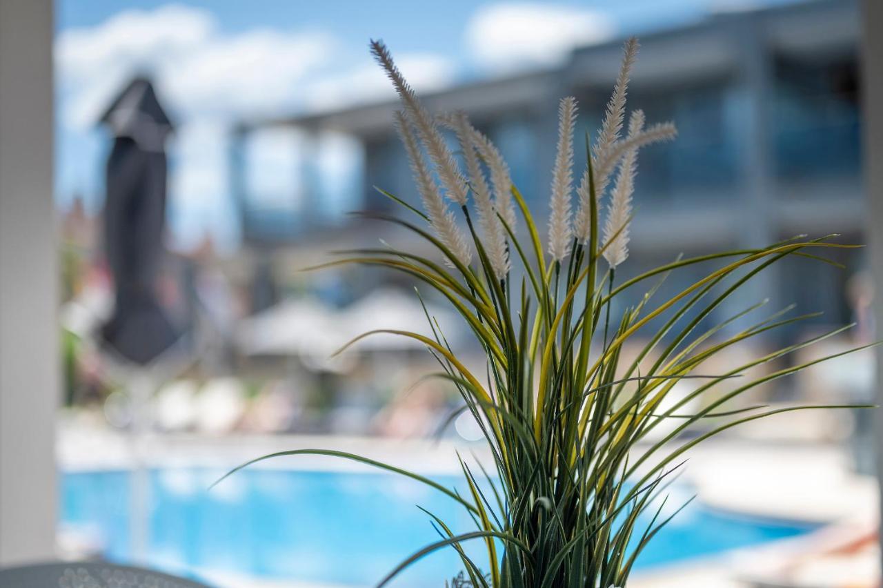Dionysos Hotel & Suites Hanioti Eksteriør billede